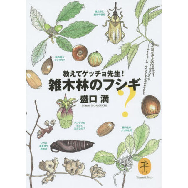 教えてゲッチョ先生！雑木林のフシギ