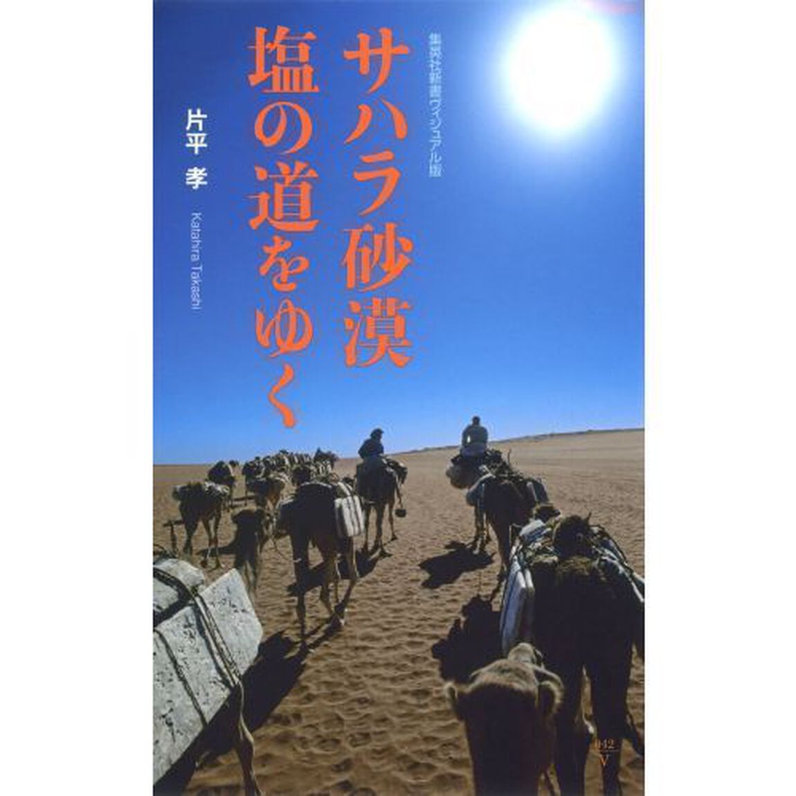 サハラ砂漠塩の道をゆく