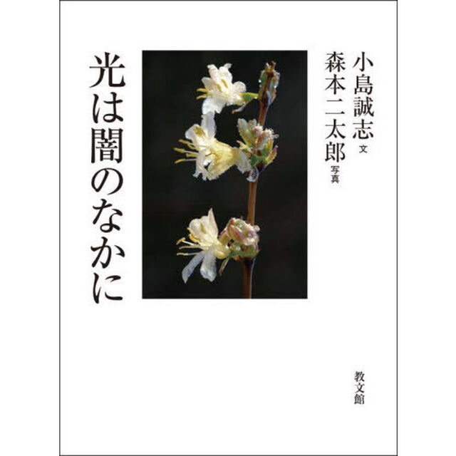光は闇のなかに