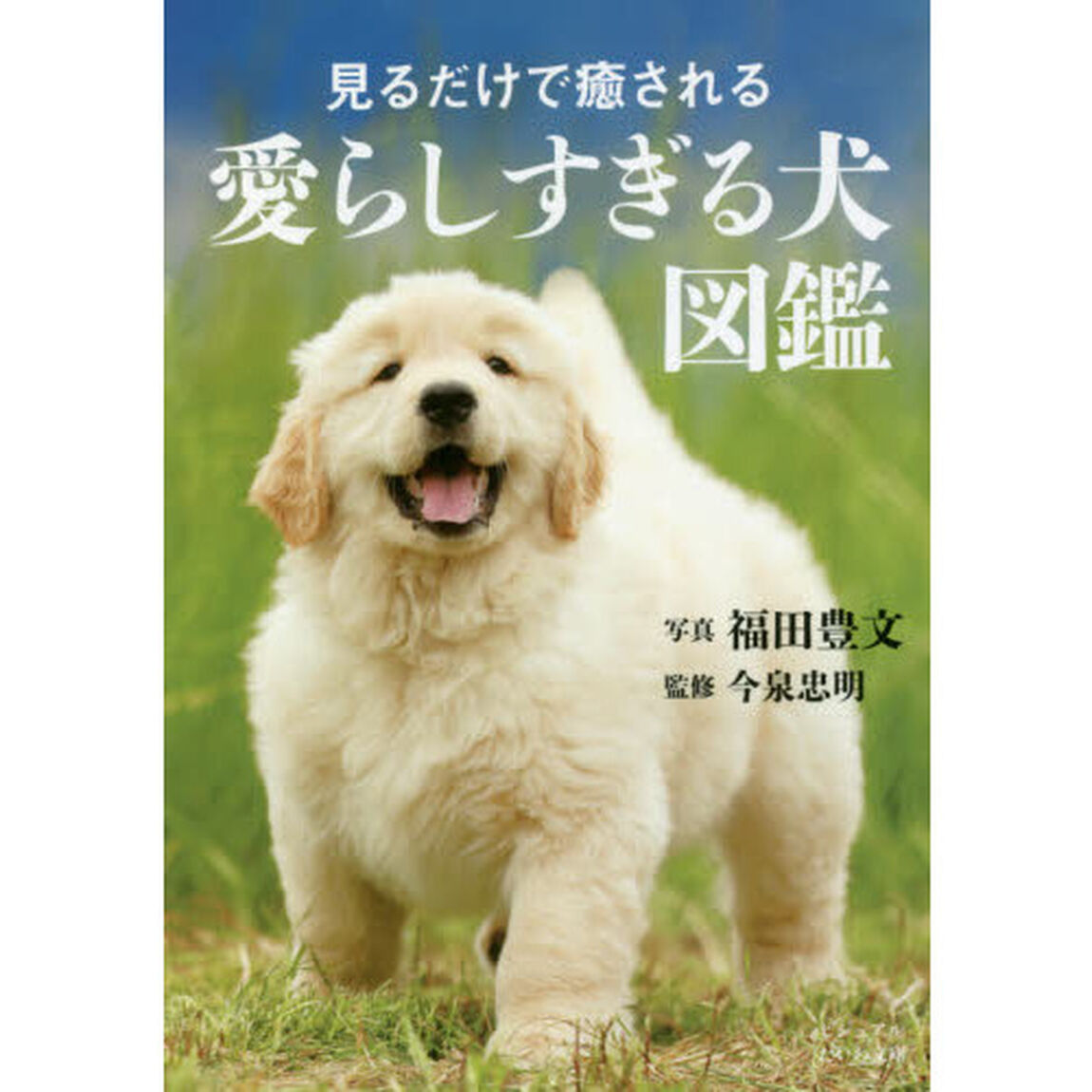 見るだけで癒される愛らしすぎる犬図鑑