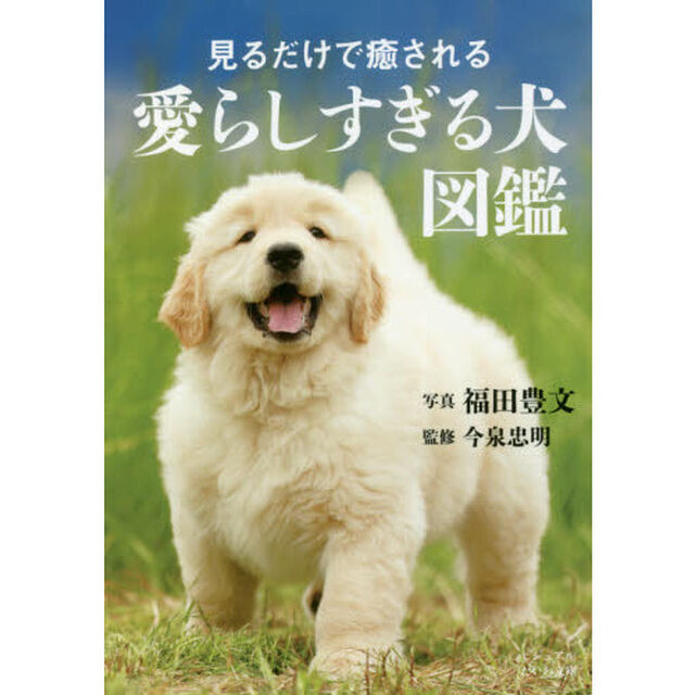見るだけで癒される愛らしすぎる犬図鑑