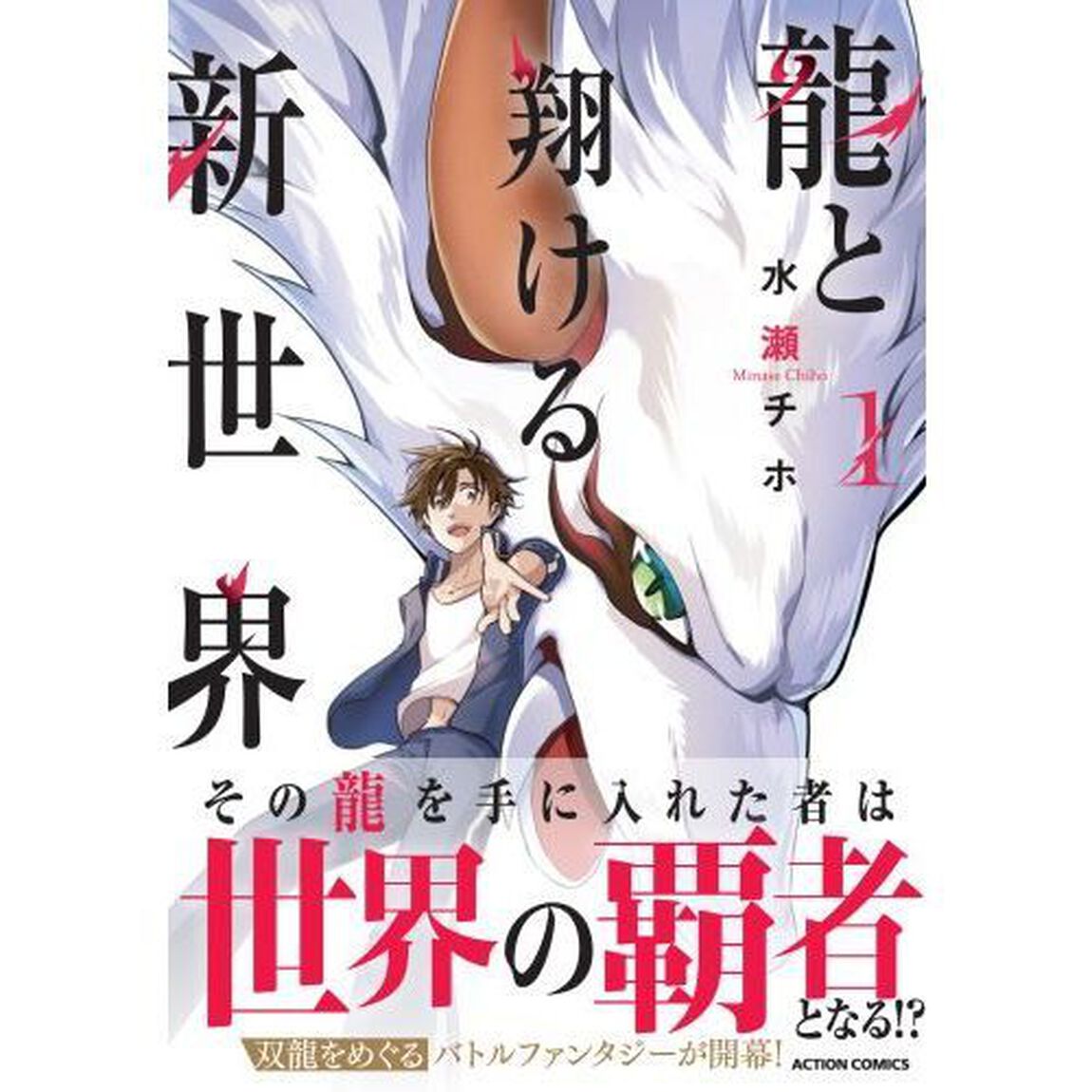 龍と翔ける新世界　１