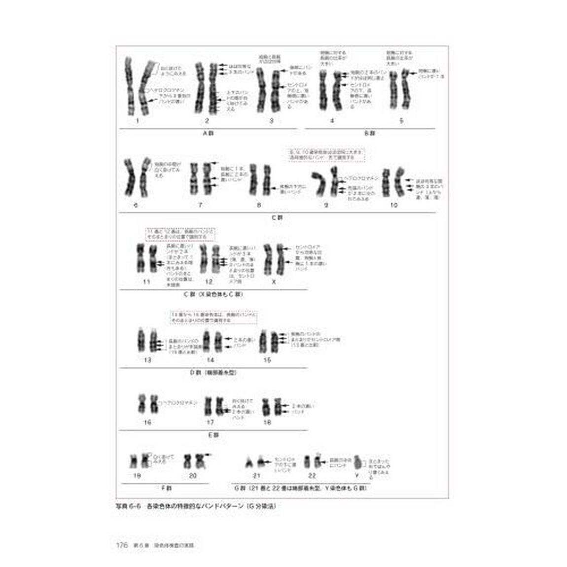 遺伝子関連・染色体検査学「第３版」