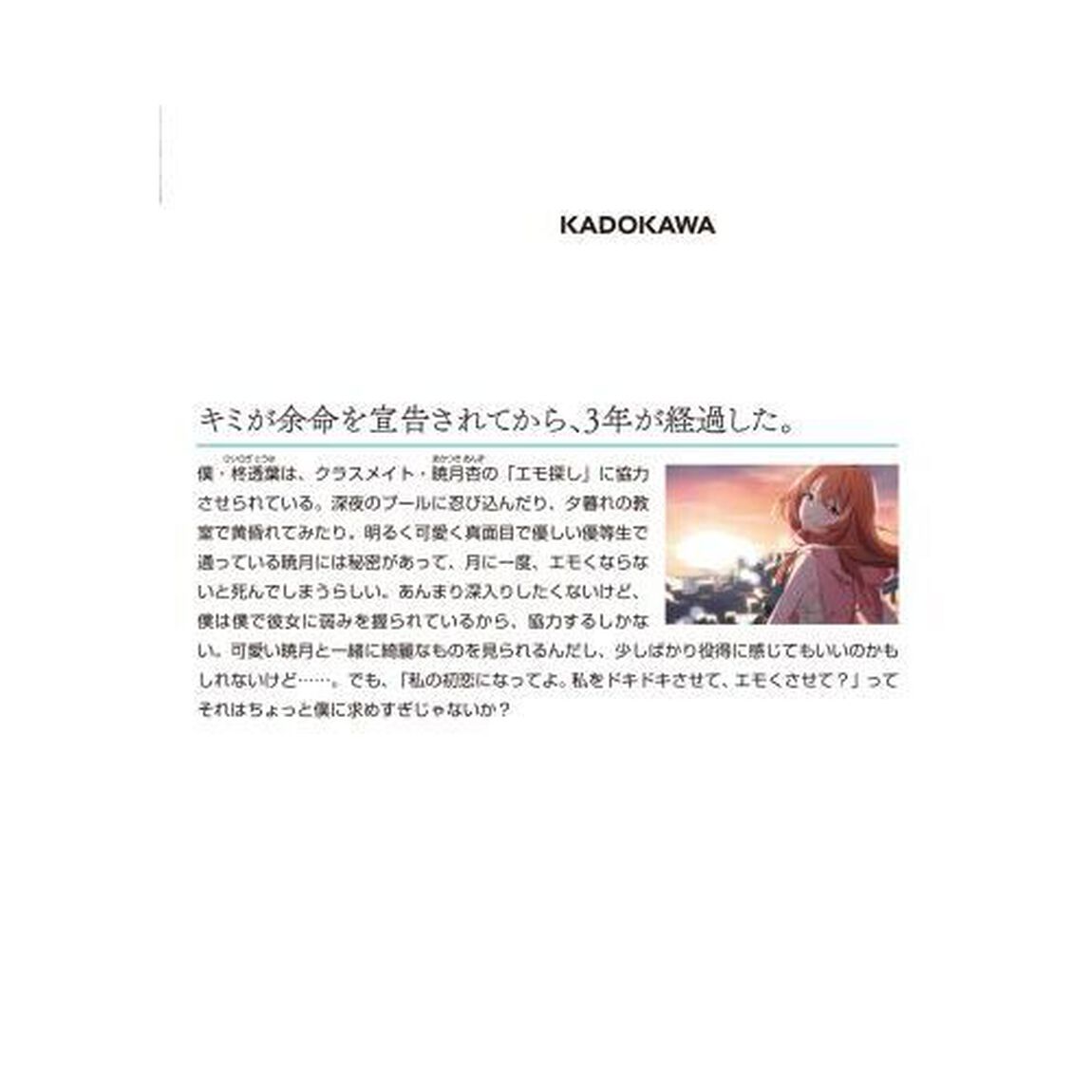 余命わずかなキミと一緒に、初恋を探しに行く