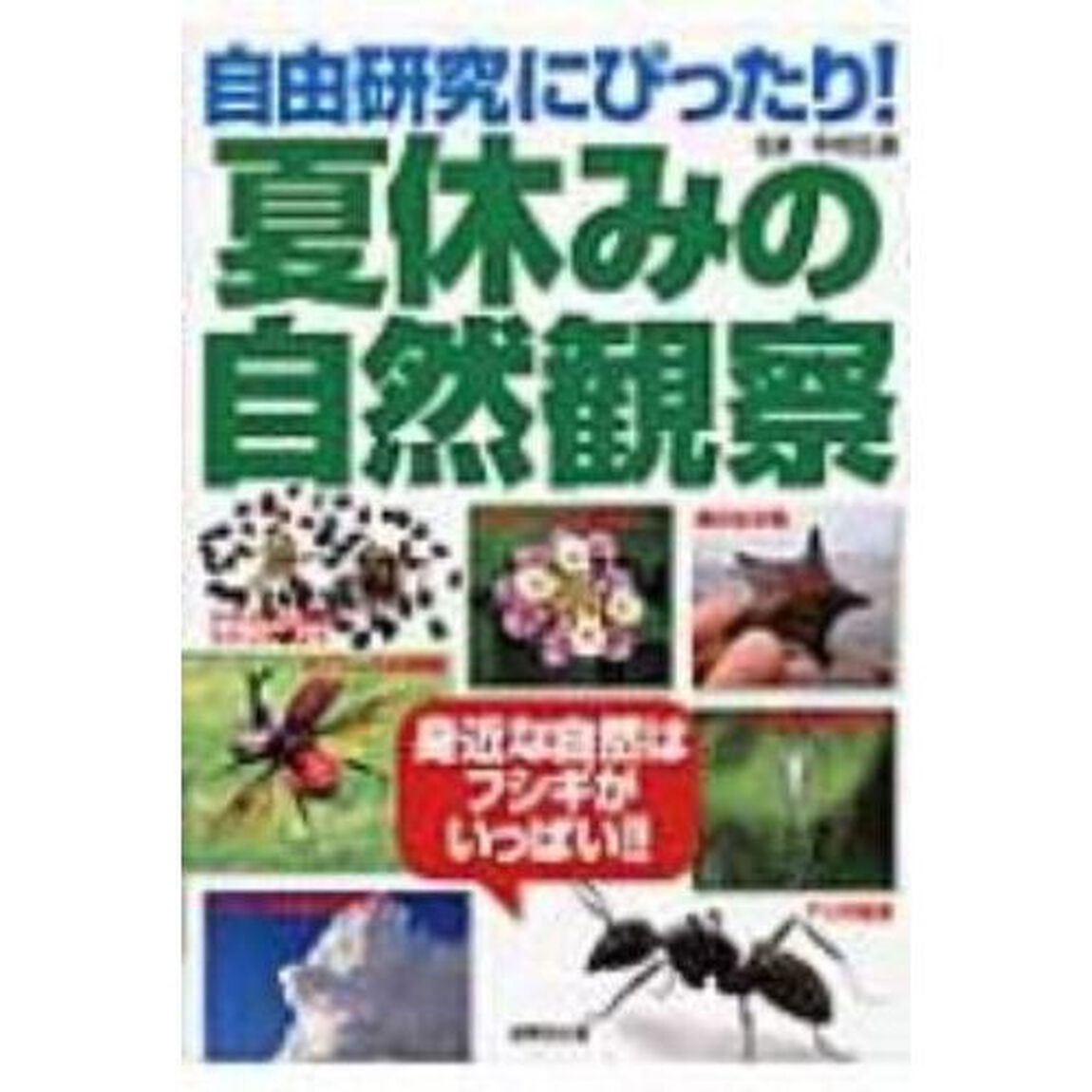 自由研究にぴったり！夏休みの自然観察