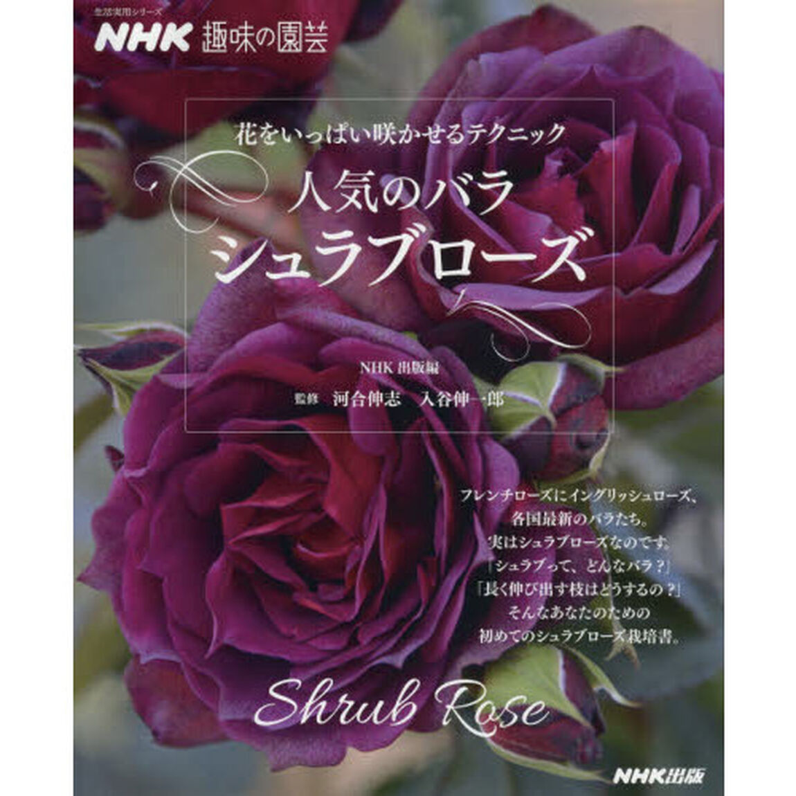 人気のバラシュラブローズ　花をいっぱい咲かせるテクニック