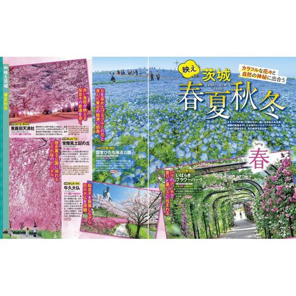 るるぶ茨城　大洗　つくば　水戸　笠間　&rsquo;２３