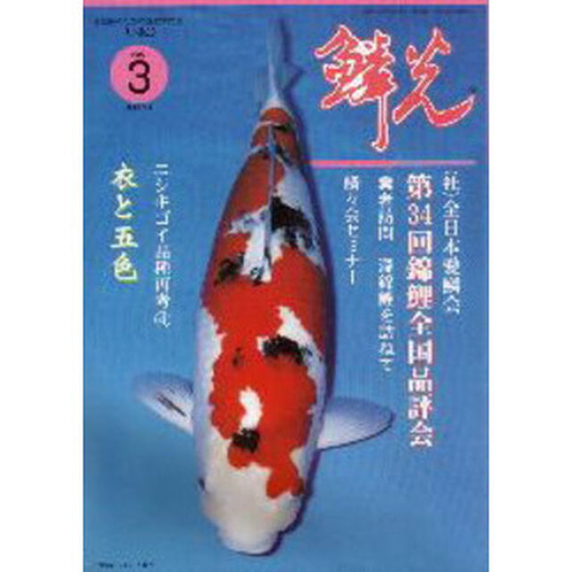 鱗光　１９９９　３月号「（社）全日本愛鱗会第３４回錦鯉全国品評会」