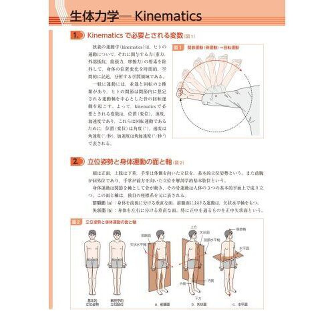 ＰＴ・ＯＴのための運動学テキスト　基礎・実習・臨床「補訂２版」