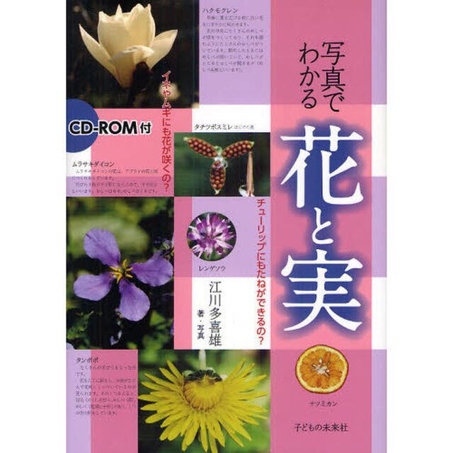 写真でわかる花と実
