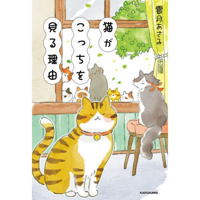 猫がこっちを見る理由