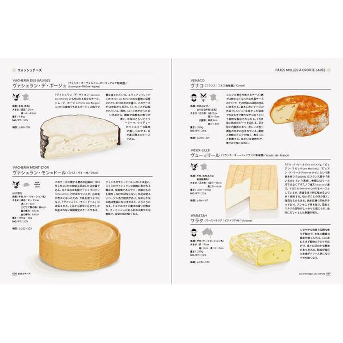 美しい世界のチーズの教科書