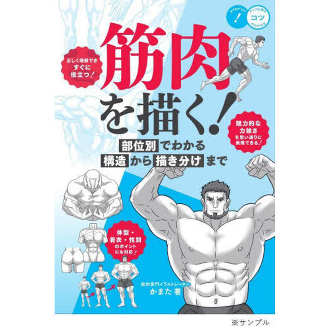 筋肉を描く！　部位別でわかる構造から描き分けまで