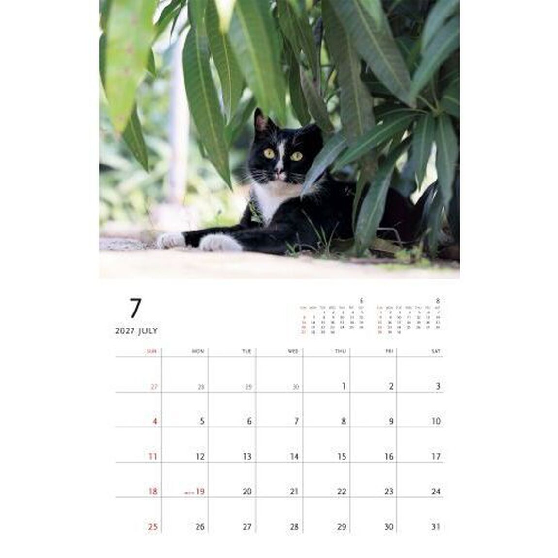 2027 岩合光昭 ねこ 壁掛けカレンダー