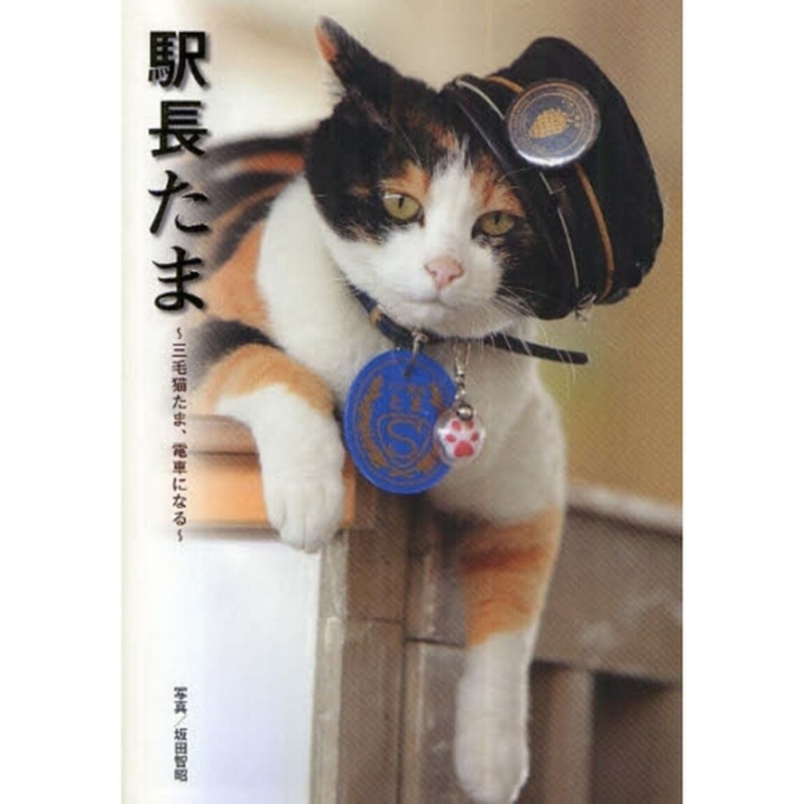 駅長たま　三毛猫たま、電車になる
