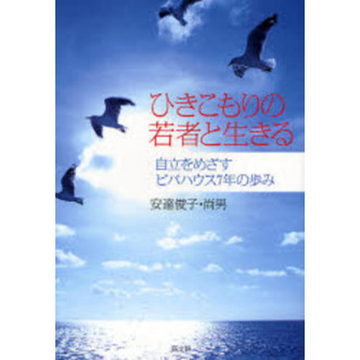 ひきこもりの若者と生きる　自立をめざすビバハウス７年の歩み