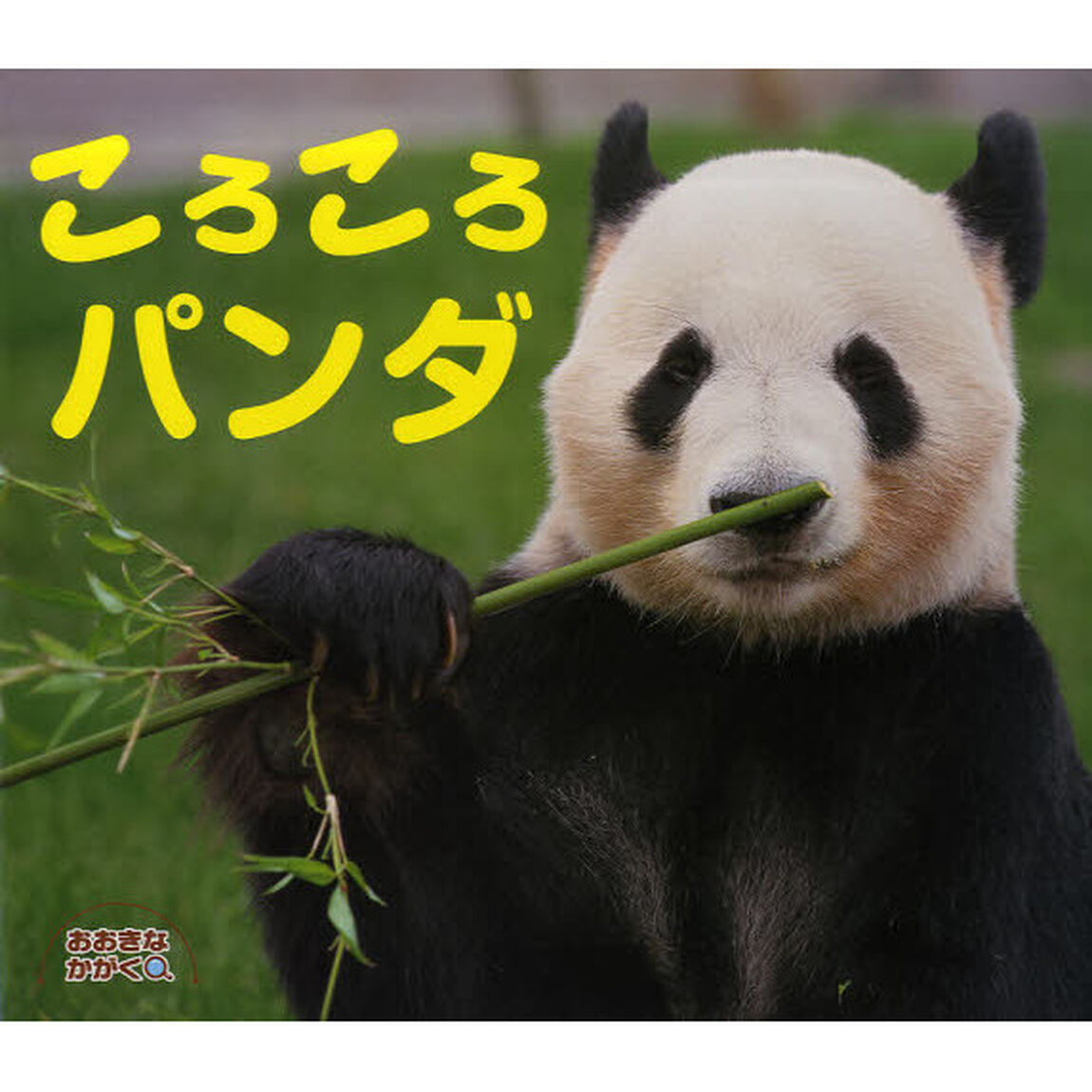 ころころパンダ