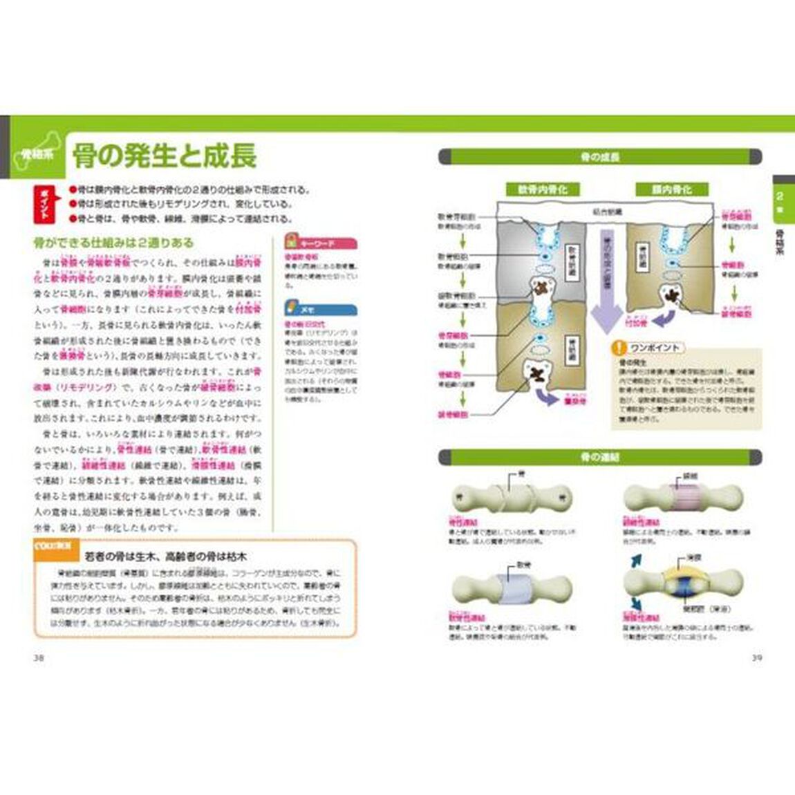 解剖学の基本　初学者でも解剖学がよくわかる１冊「新装版」
