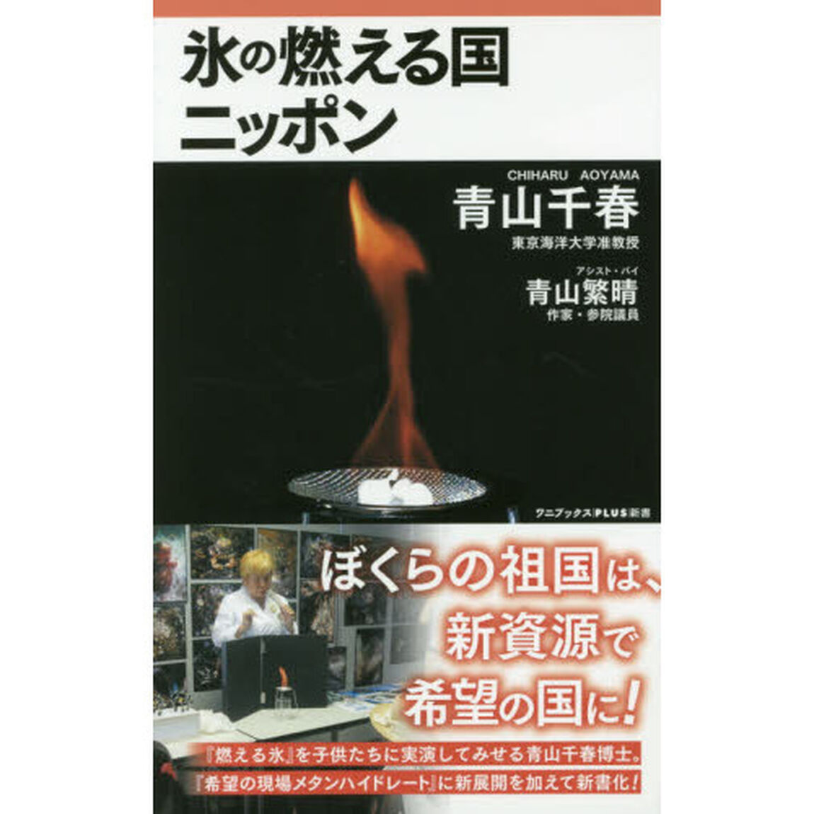 氷の燃える国ニッポン
