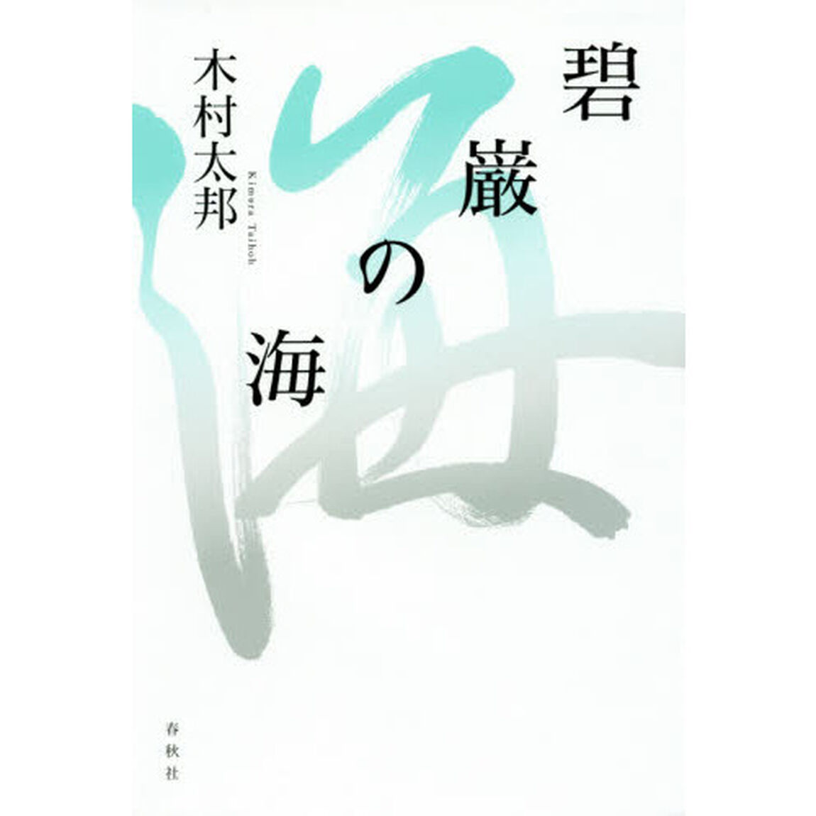 碧巌の海