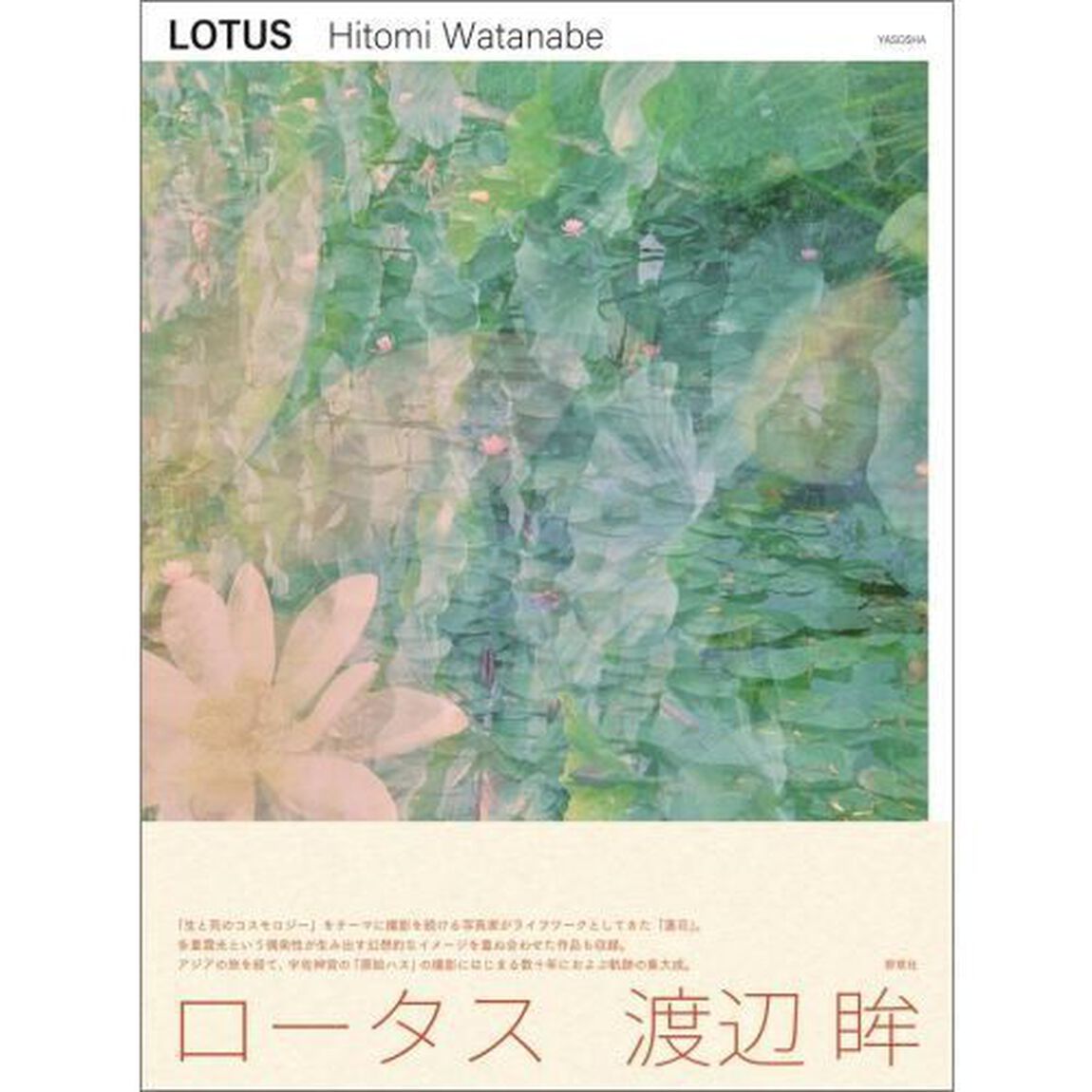 ＬＯＴＵＳ