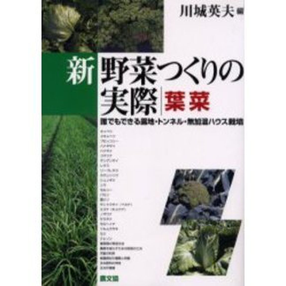 新野菜つくりの実際　誰でもできる露地・トンネル・無加温ハウス栽培　葉菜