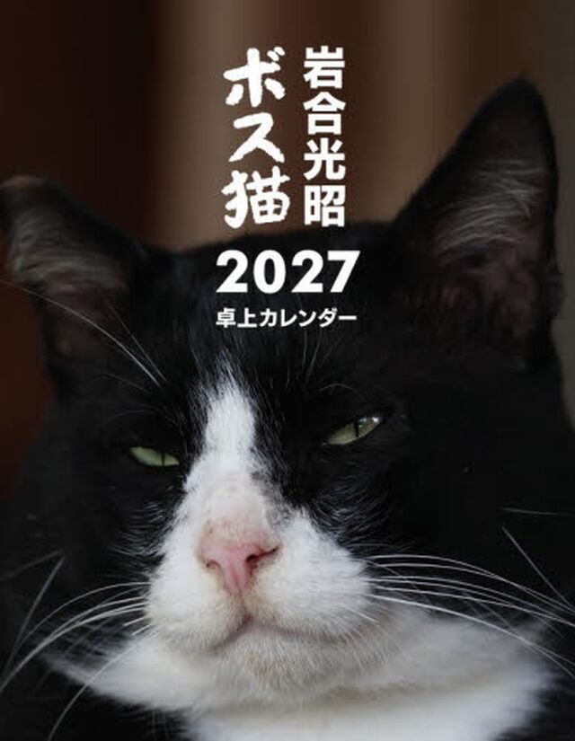 &rsquo;２７　ボス猫卓上カレンダー