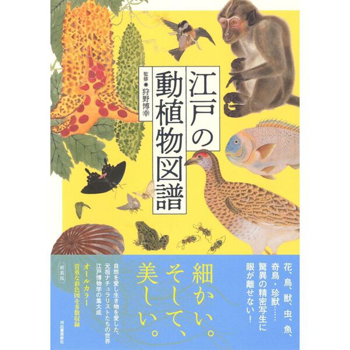 江戸の動植物図譜　新装版