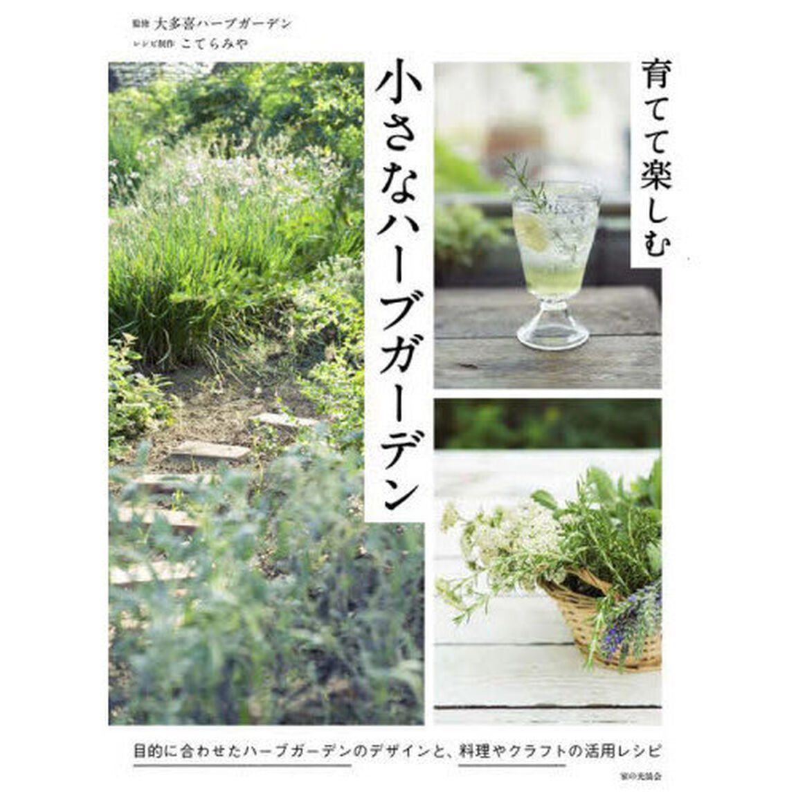 育てて楽しむ小さなハーブガーデン
