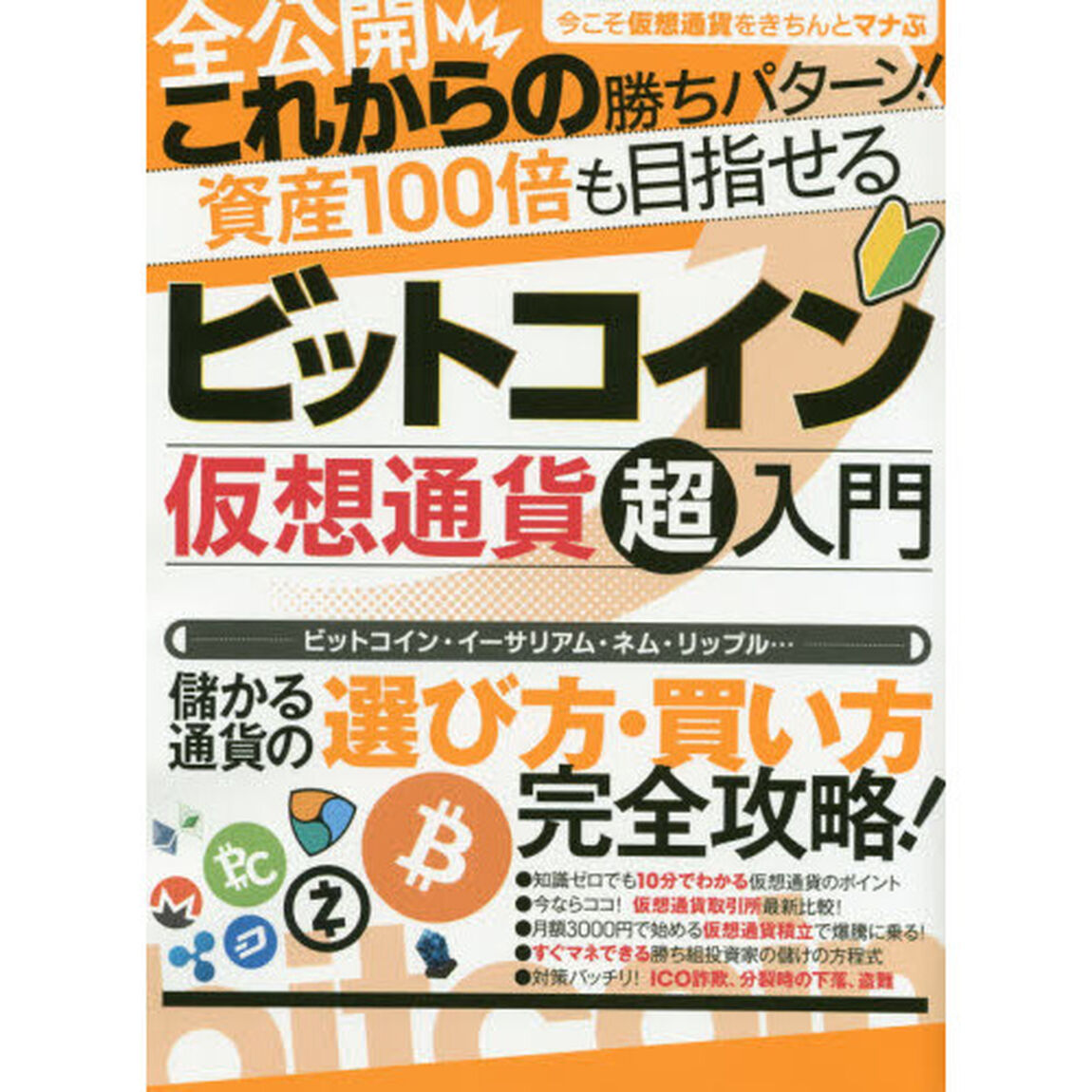 ビットコイン 仮想通貨超入門