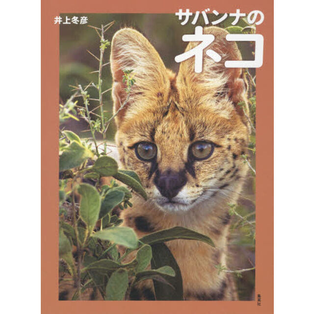 サバンナのネコ