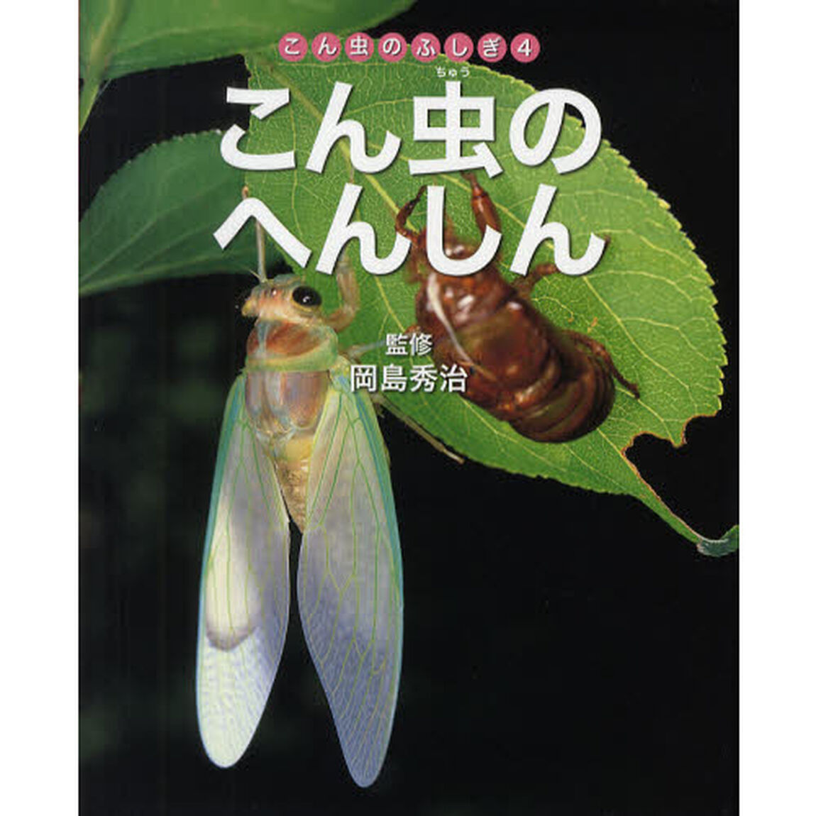 こん虫のふしぎ　４「こん虫のへんしん」