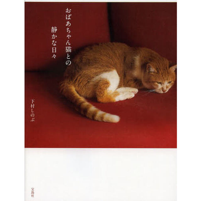おばあちゃん猫との静かな日々