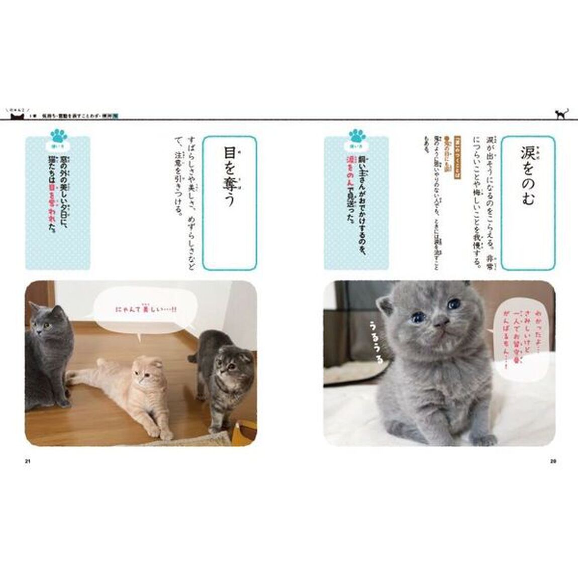 にゃんこことわざ・慣用句　一生ものの表現力が身につく