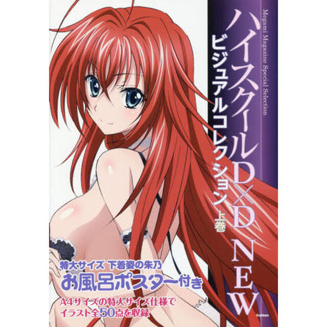 ハイスクールＤ&times;Ｄ　ＮＥＷビジュアルコレクション　上巻