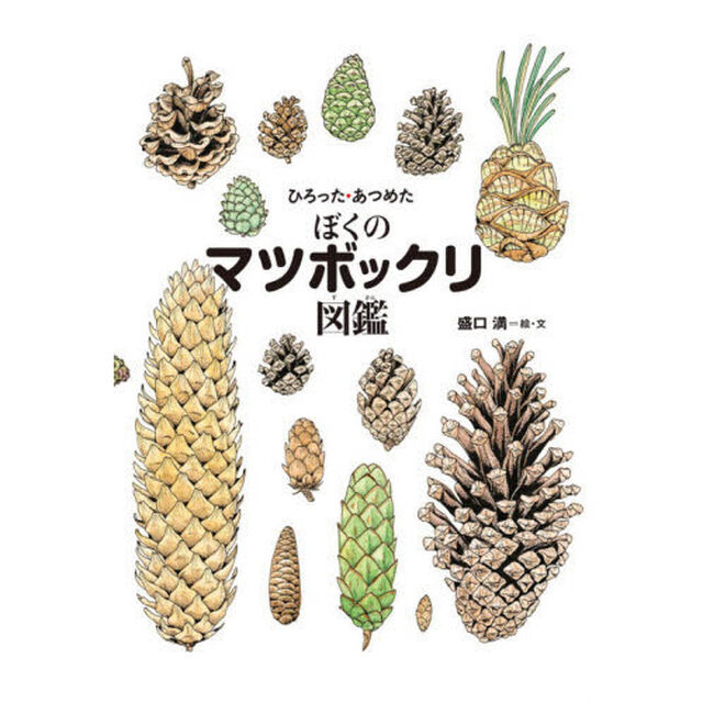 ひろった・あつめたぼくのマツボックリ図鑑