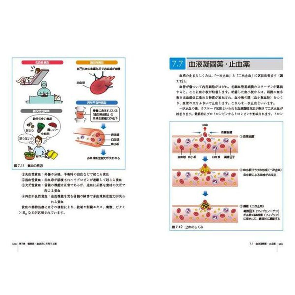 絵でわかる薬のしくみ