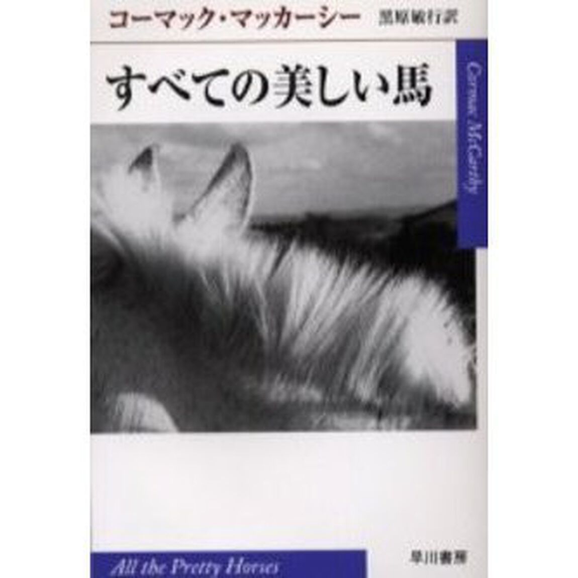 すべての美しい馬