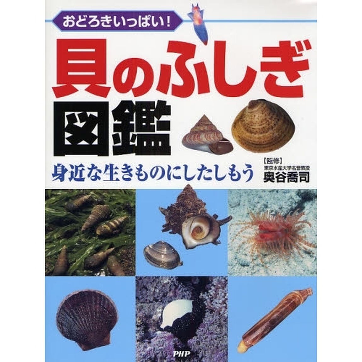 貝のふしぎ図鑑　おどろきいっぱい！　身近な生きものにしたしもう