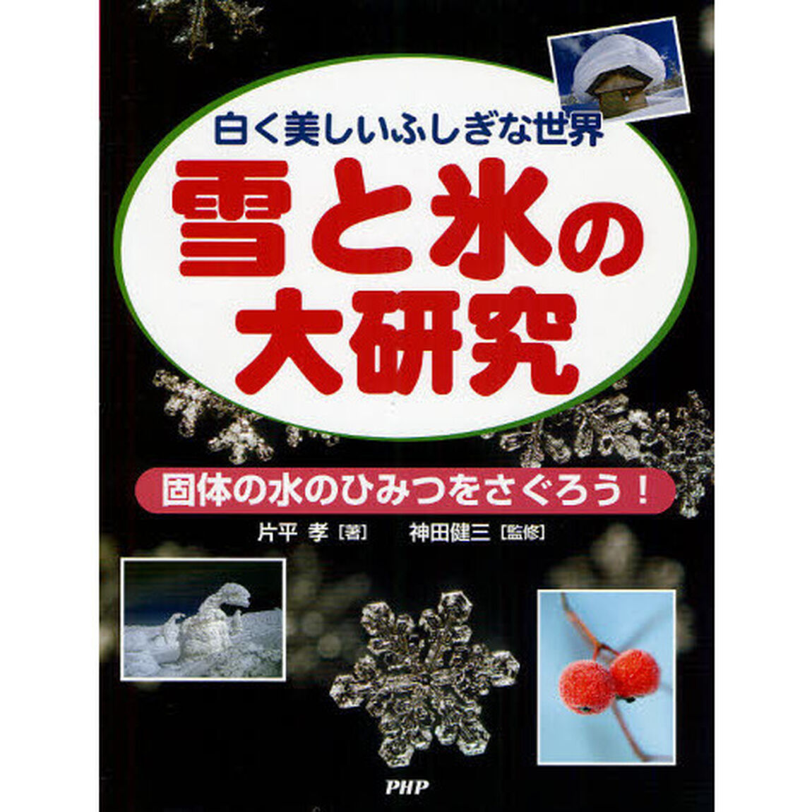 雪と氷の大研究　白く美しいふしぎな世界　固体の水のひみつをさぐろう！