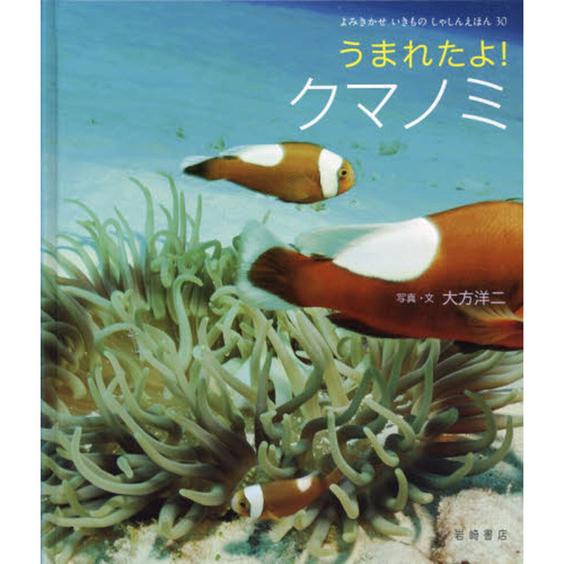 うまれたよ！クマノミ