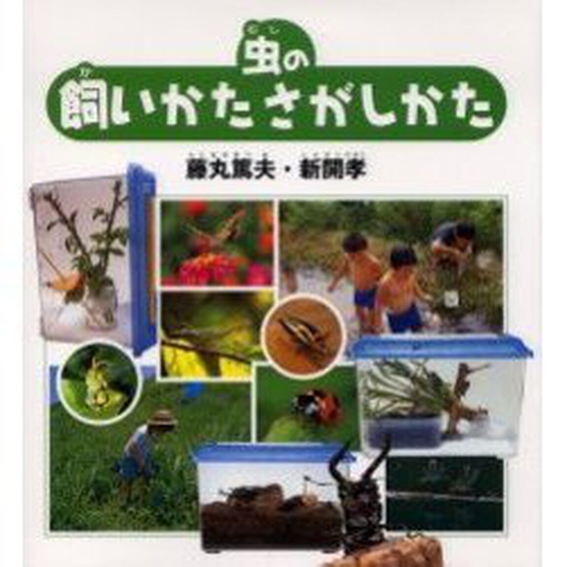 虫の飼いかたさがしかた