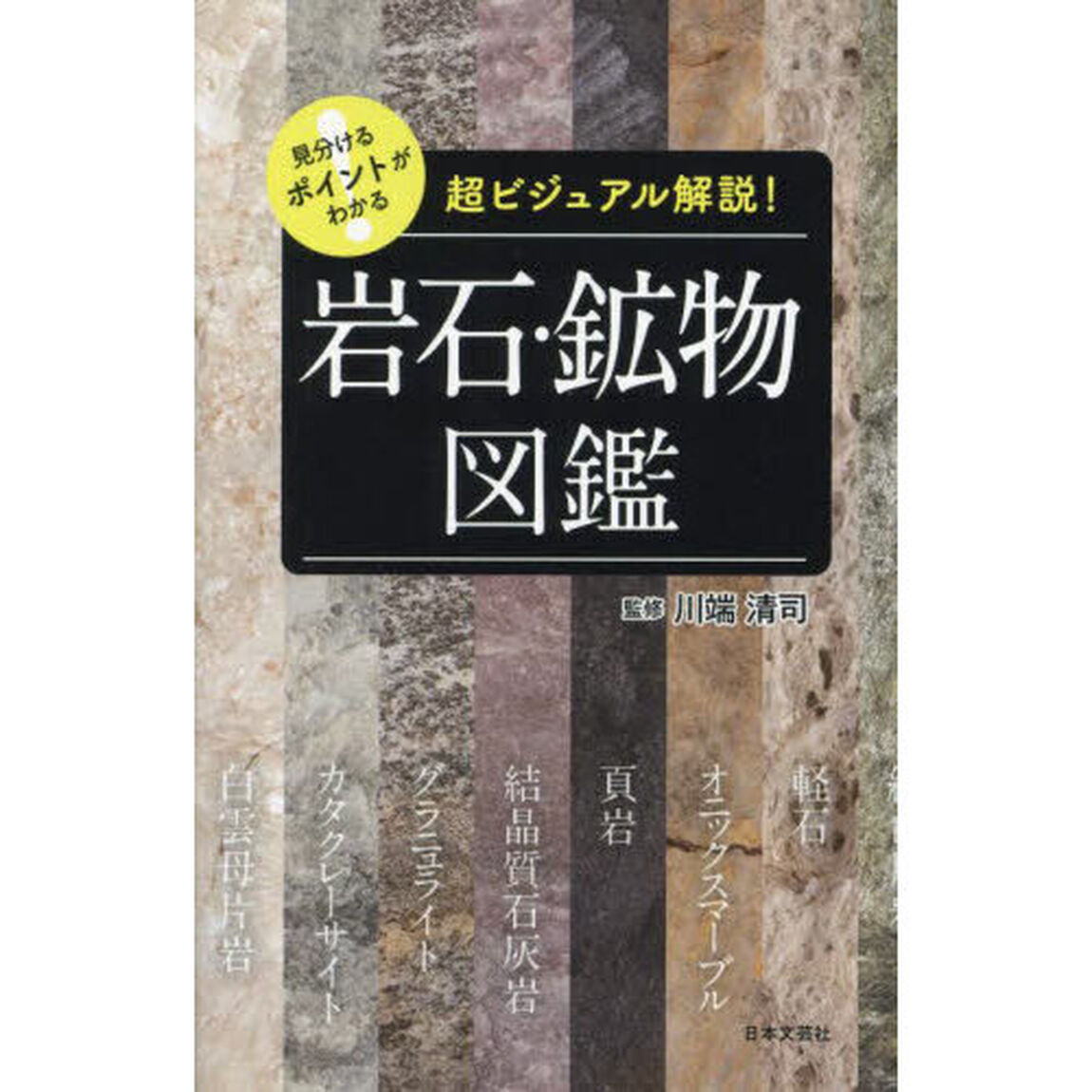 見分けるポイントがわかる岩石・鉱物図鑑　超ビジュアル解説！