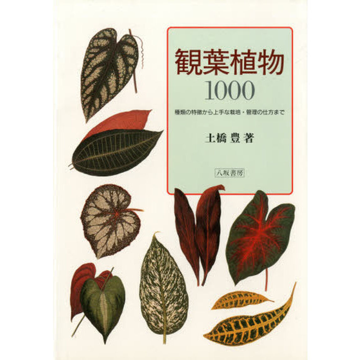 観葉植物１０００　種類の特徴から上手な栽培・管理の仕方まで