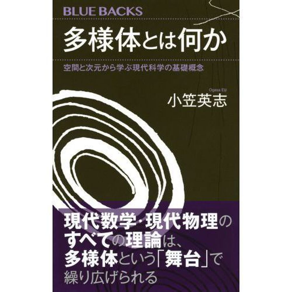 多様体とは何か　空間と次元から学ぶ現代科学の基礎概念