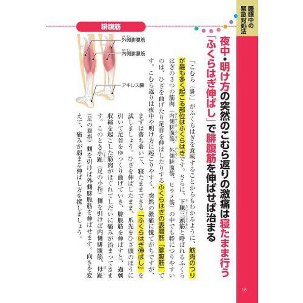 こむら返り自力で克服！名医が教える最新１分体操大全