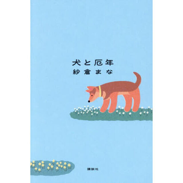 犬と厄年