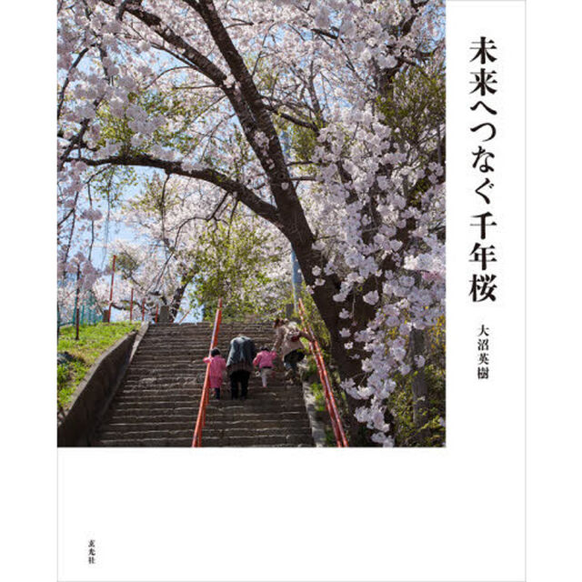 未来へつなぐ千年桜
