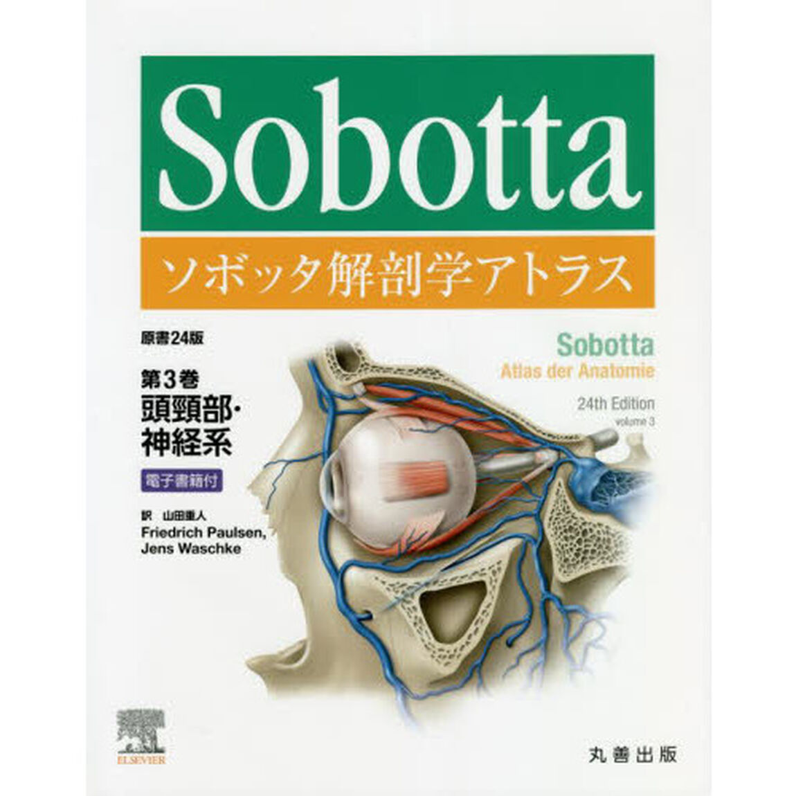 ソボッタ解剖学アトラス　第３巻「頭頸部・神経系」