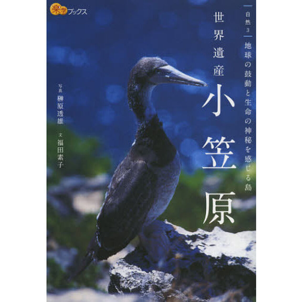 世界遺産小笠原